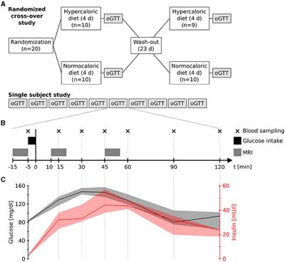 Glucose-sensitive hypothalamic nuclei traced through functional magnetic resonance imaging